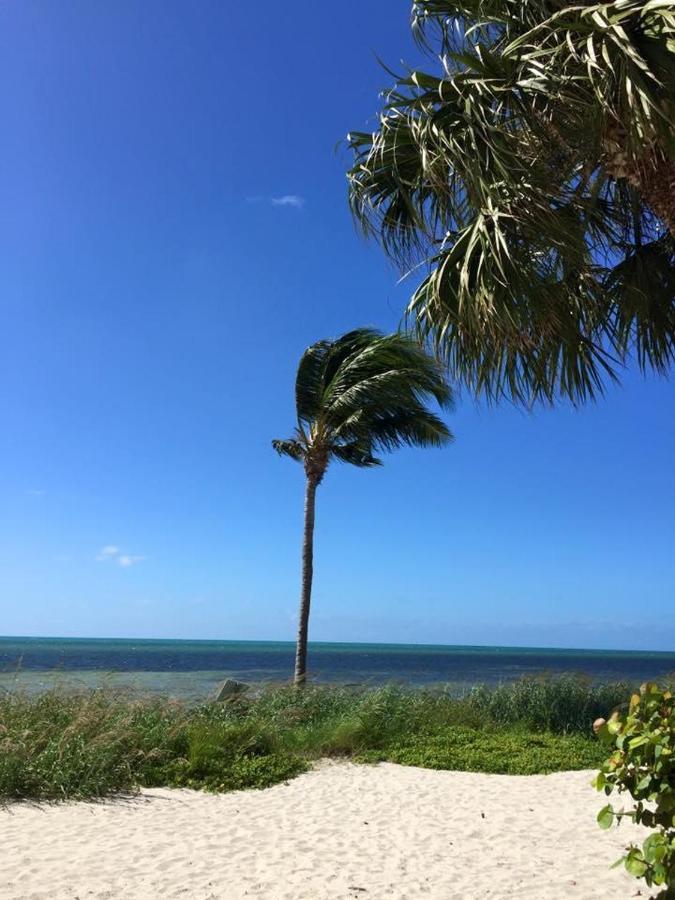 Paradise Found Cayo Hueso Luaran gambar