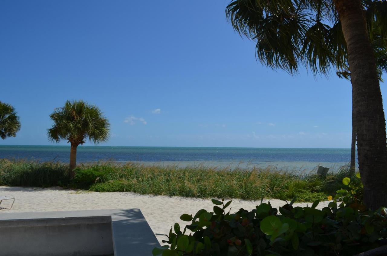 Paradise Found Cayo Hueso Luaran gambar